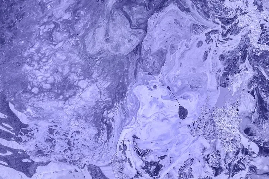 Il colore scelto per il 2022 dal Pantone Color Institute è il Pantone 17-3938 Very Peri, una tonalità di blu pervinca con sottotono viola e rosso.