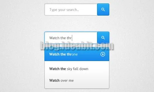 Cresce l'importanza del "Search Box" nei siti web