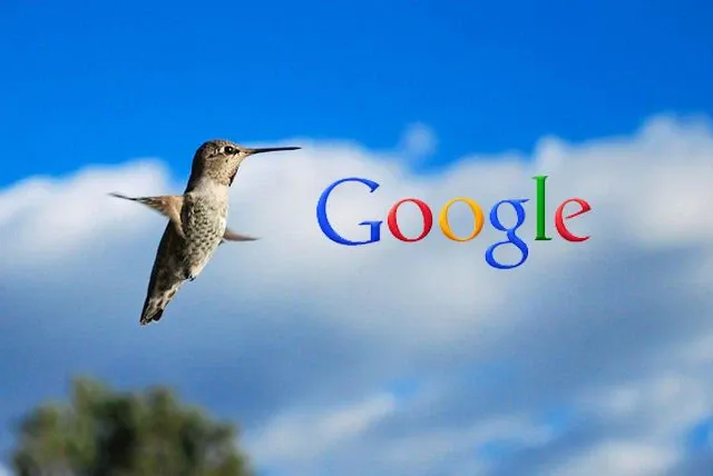 Hummingbird introduce novità che puntano a raffinare la capacità di Google di analizzare le richieste in maniera intelligente e di riconoscere il senso delle domande.