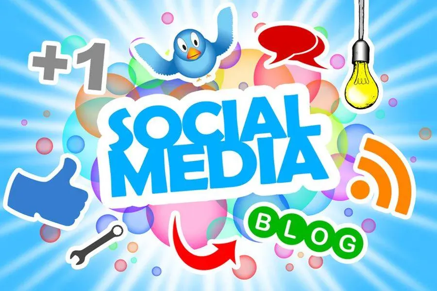 I social network sono la moda del momento; questi ambienti sono è in continuo mutamento e nascono continuamente nuove piattaforme.