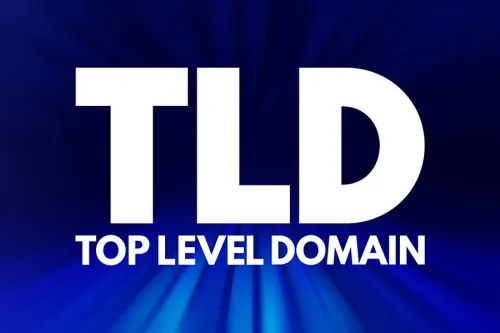 I nuovi domini di primo livello gTLD (Generic Top Level Domains)